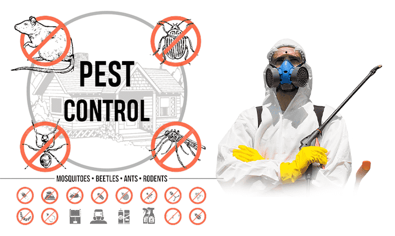 general pest control