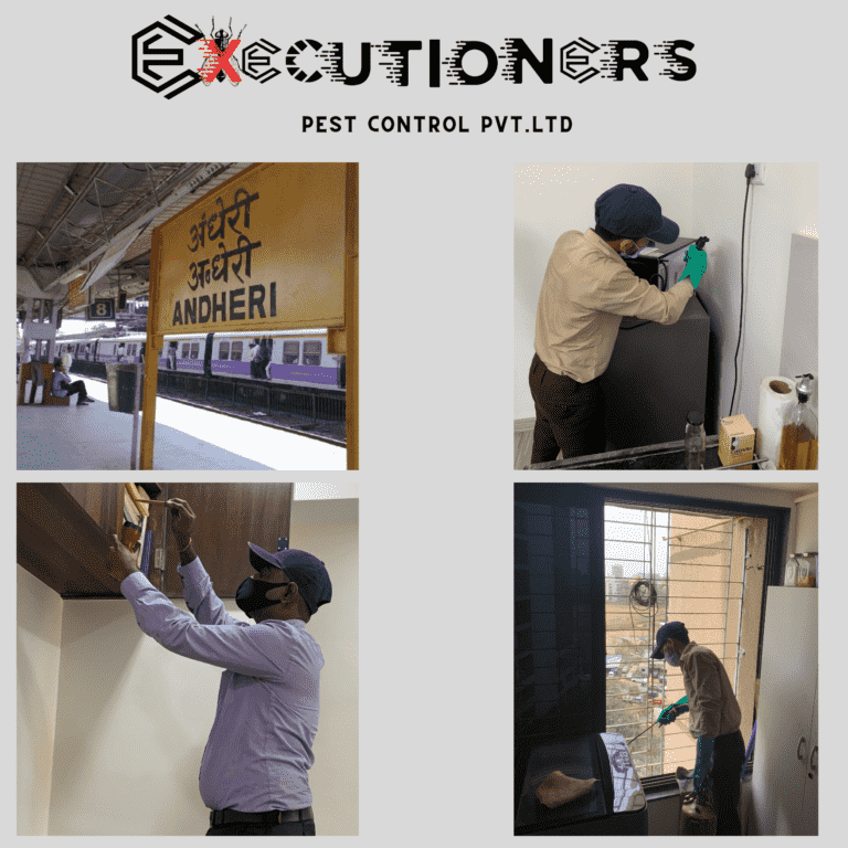 Executioners pest control mumbai andheri west