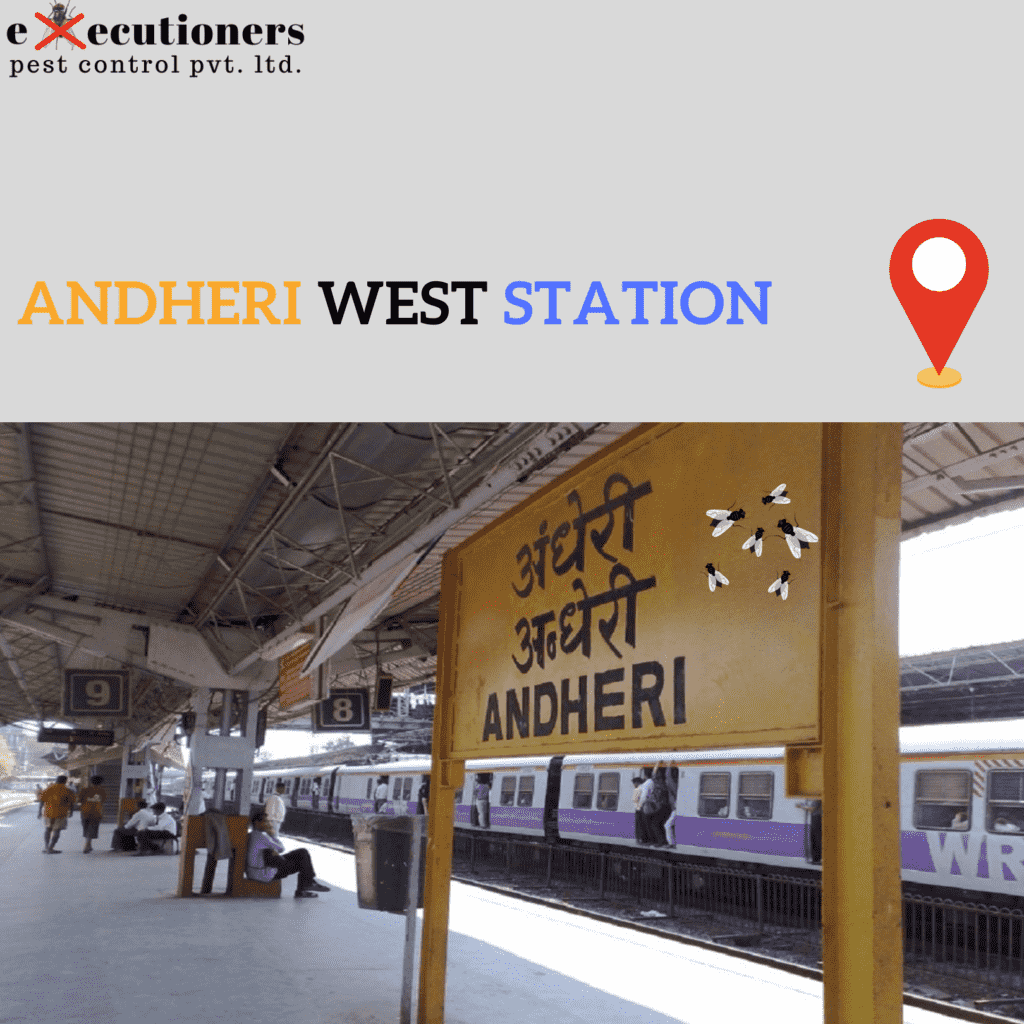 Best pest control Andheri west station pest control