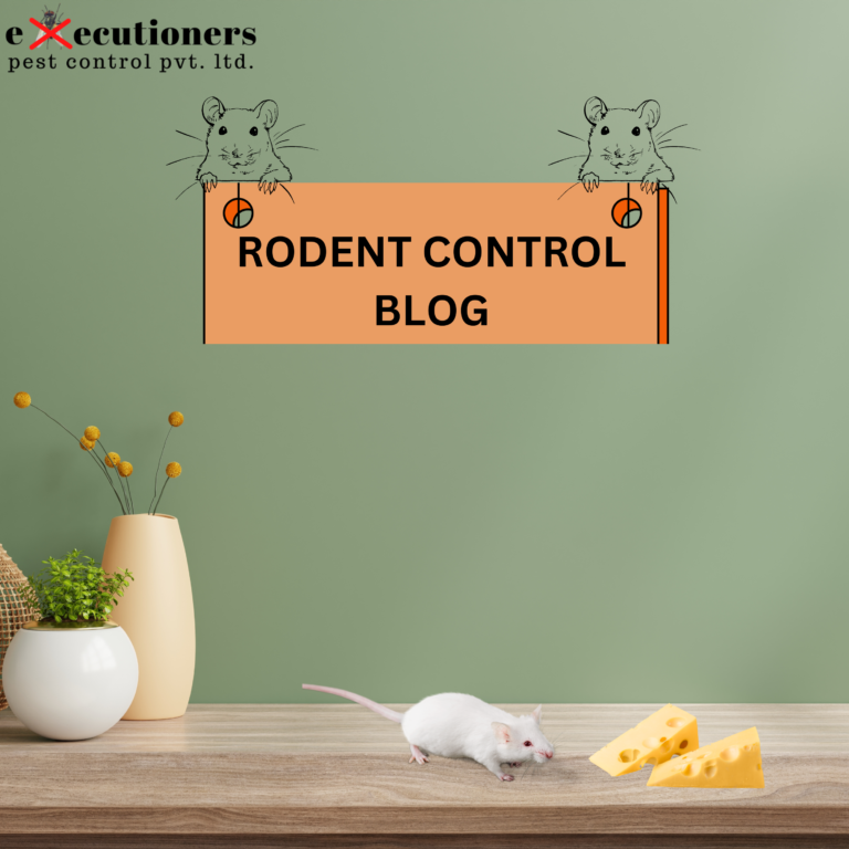 Rodent control Blog