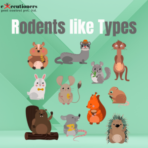 Rodent types