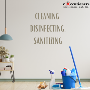 Cleaning disinfecting Rat