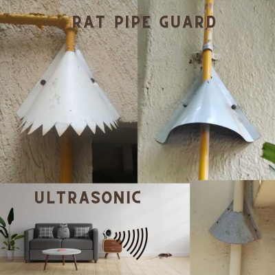 Rat Pipe Guard